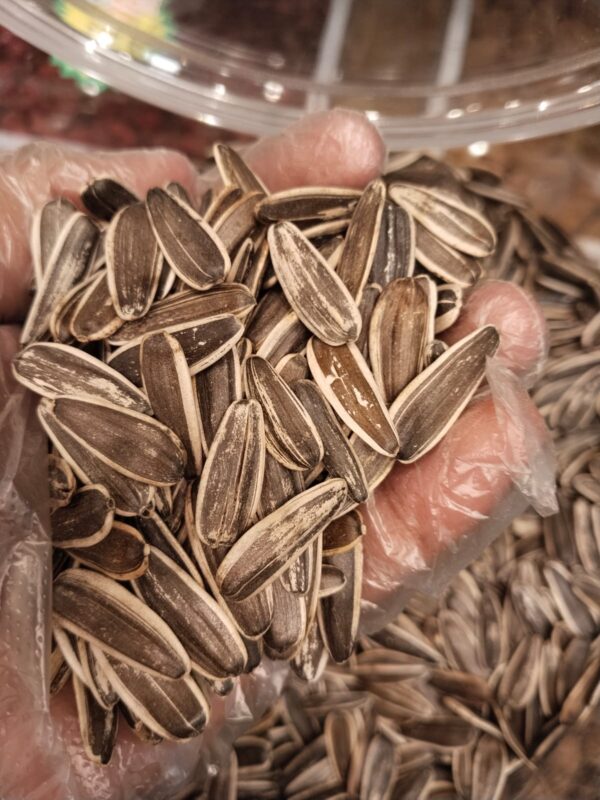 سورج مکھی کے بیج || Sunflower Seeds Long: Wholesome Crunch, Naturally Delicious. - Image 2