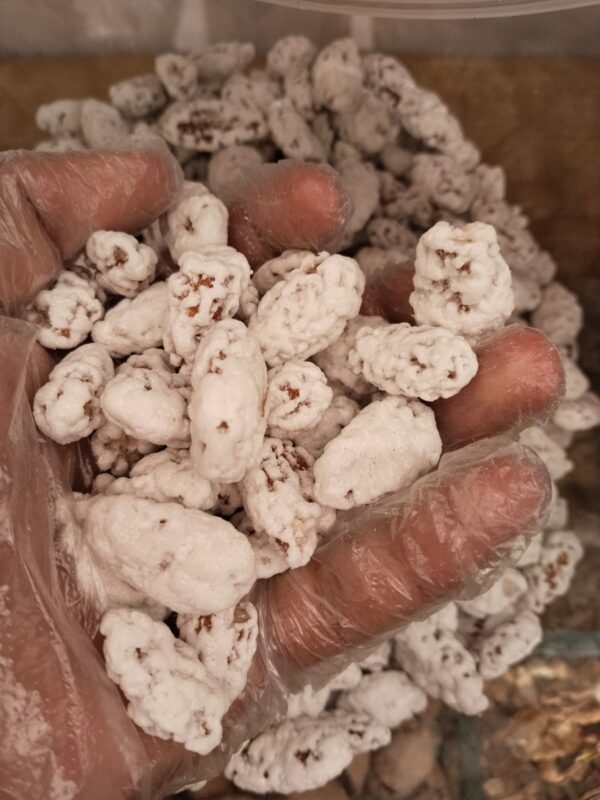 نکول بادام سفید || Nakul Badam White: Premium, Crisp, and Naturally Sweet.