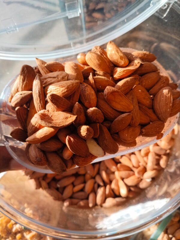 بادام واحدی۔ || Badam Awahidi: Premium Quality Almonds Known for Their Rich Taste and Health Benefits