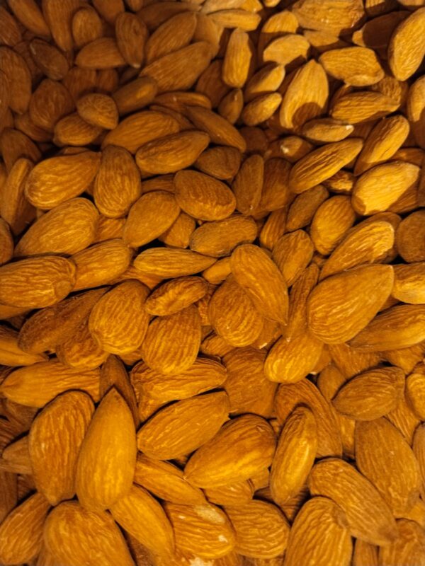 میٹھا پرونس بادام || Prunus Dulcis: The Nutritious Almond Variety Packed with Healthy Fats, Protein, and Antioxidants