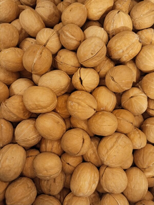 کاغذی اخروٹ || Kagzi Akhrot: Delicate, Thin-Shelled Walnuts with a Rich, Buttery Flavor and Nutritional Benefits