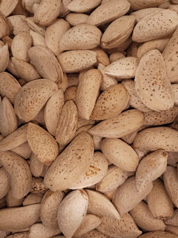 بادام عبدالوحیدی || Badam Abdul Waheidi: Premium Almonds Known for Their Rich Flavor and Nutritional Goodness