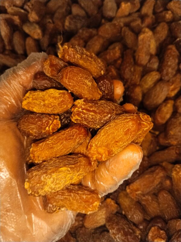 ڈیگلٹ نور || Deglet Nour: The Sweet and Chewy ‘Queen of Dates’ Packed with Natural Energy